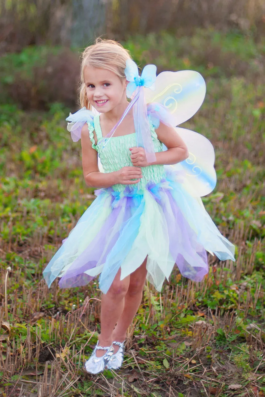 butterfly dress with wings and wand