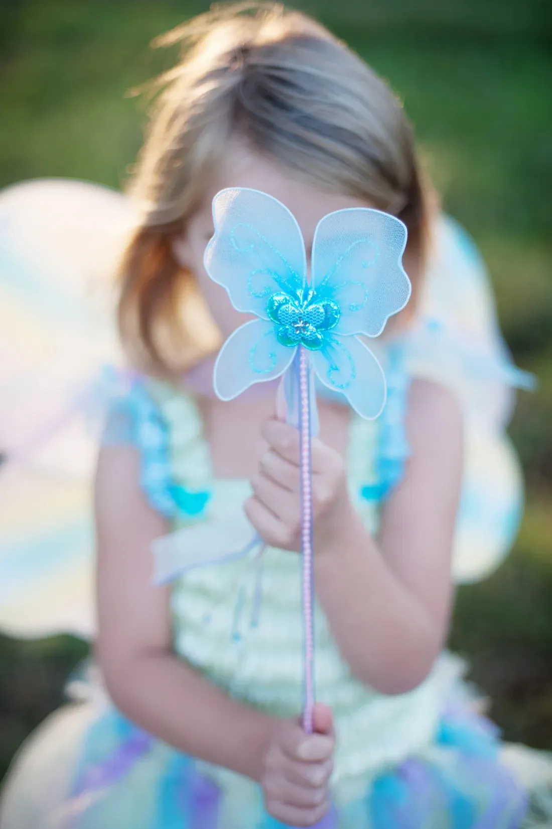 butterfly dress with wings and wand