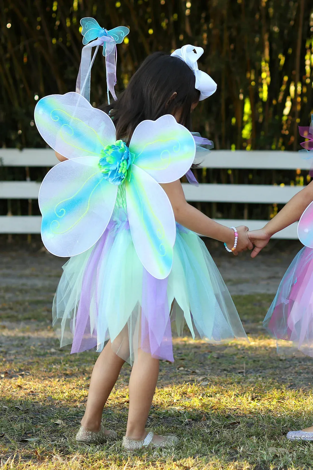 butterfly dress with wings and wand