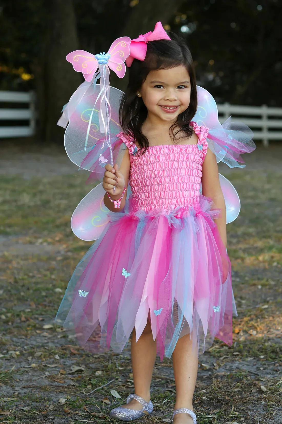 butterfly dress with wings and wand